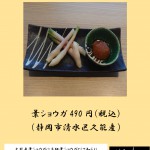 葉ショウガ_page-0001