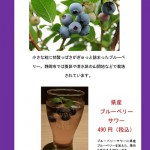 7月度JAフェア_page-0001